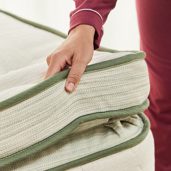 Avocado Green Box Top Mattress 2
