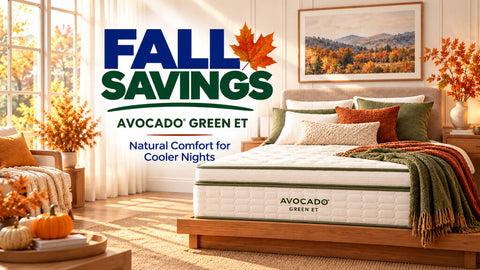 Fall Savings