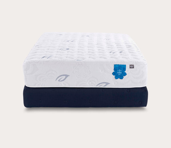 Pranasleep Asha Luxe 3 Plush 3