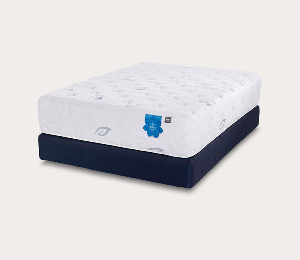 Pranasleep Asha Luxe 3 Plush 4