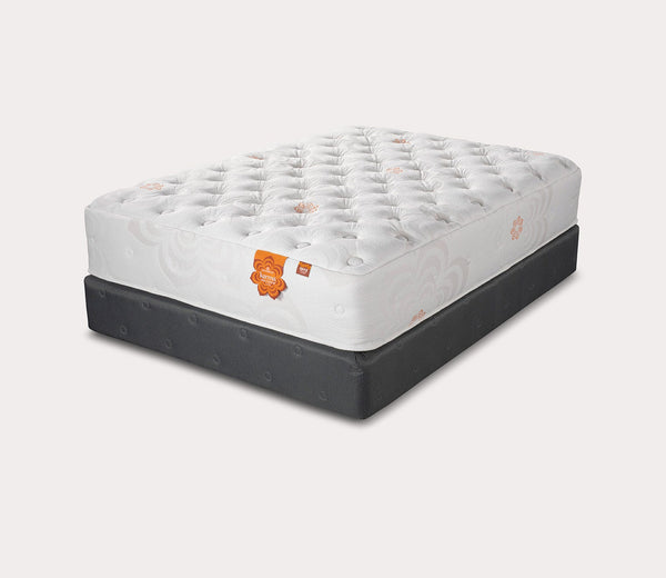 Pranasleep Karma Elite Hybrid Plush 3
