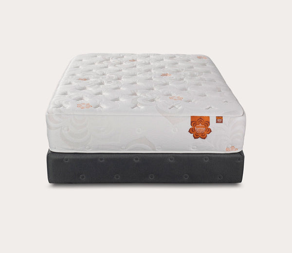 Pranasleep Karma Elite Hybrid Super Cush 2